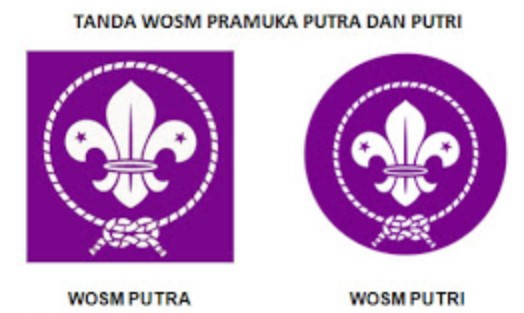 Mengenal Lambang Wosm Pramuka Arti Dan Cara Pemasangan Yang Benar