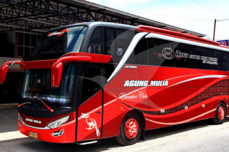 Rekomendasi Bus Sampit Palangkaraya PP Terbaik, Dilengkapi dengan Harga Tiket dan Jadwal