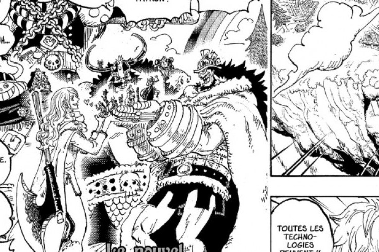 RAW Manga One Piece Chapitre 1135 Scan VF FR, Au-delà des limites raisonnables !