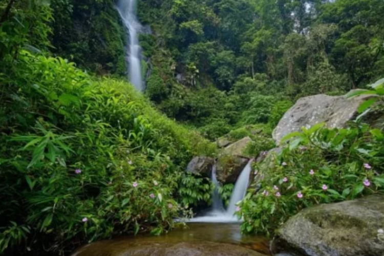 Air Terjun Semirang: Harga Tiket Masuk 2023, Fasilitas, Jam Operasional, dan Lokasi Wisata