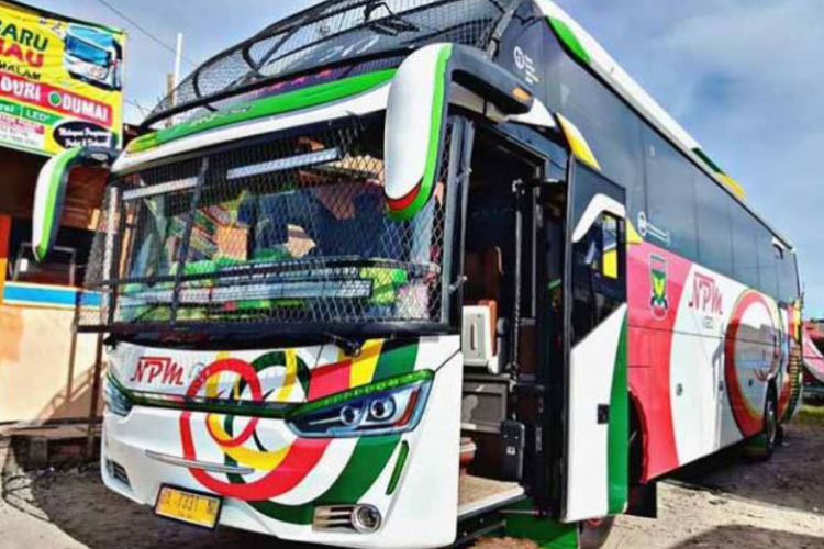 Jadwal dan Harga Tiket Bus NPM Padang ke Jambi PP Terbaru 2023