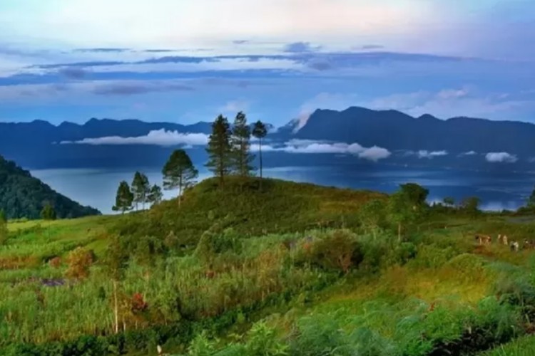 Usalan Pemekaran Kabupaten Agam Tuo Sumbar, Bakal Jadi Daerah Padat Penduduk