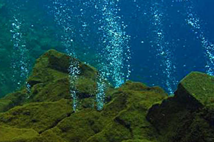 Heboh! BIG Temukan Gunung Bawah Laut di Pacitan, Bupati: Semoga Bisa Menjadi Berkah