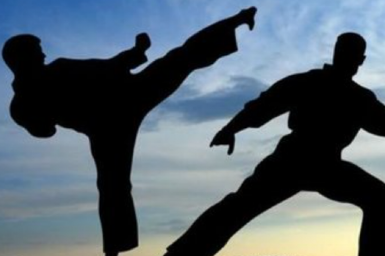 Apa Saja Perbedaan PSHT dan Karate? Beladiri Populer dengan Banyak Pengikutnya Di Dunia!