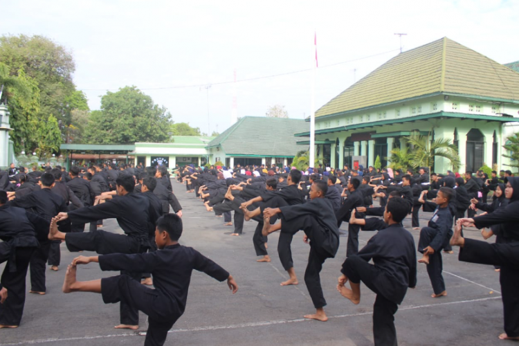 Perbedaan PSHT 16 dan 17 yang Harus Warga Ketahui, Ternyata Ini Dia Hal yang Paling Menonjol!