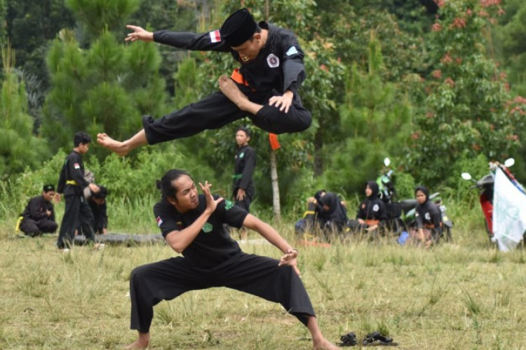 5 Gambar Pagar Nusa Gerakan Silat Bagus, Pose Terbaik Untuk Foto Keren!