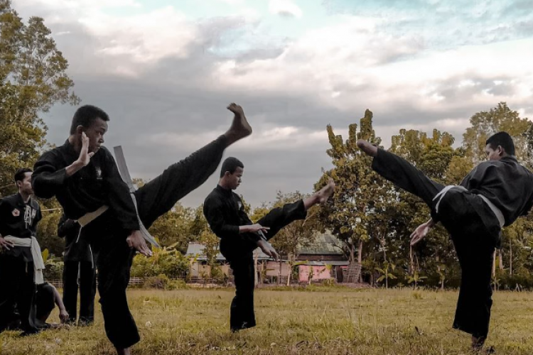 Fakta Unik Beladiri PSHT dan Karate, Sama Sama Seni Beladiri Dengan Pengikut Terbanyak!