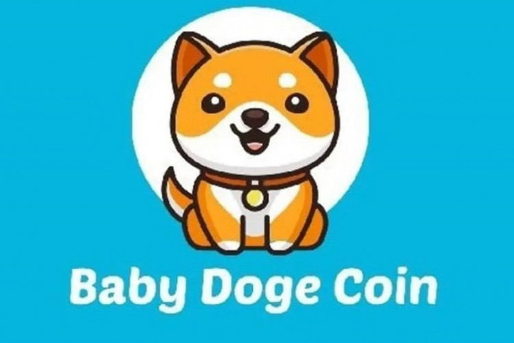 UPDATE! Prediksi Harga Baby Doge Coin 2025-2030, Atasi Masalah Investasi Kriptomu dalam Sekejap