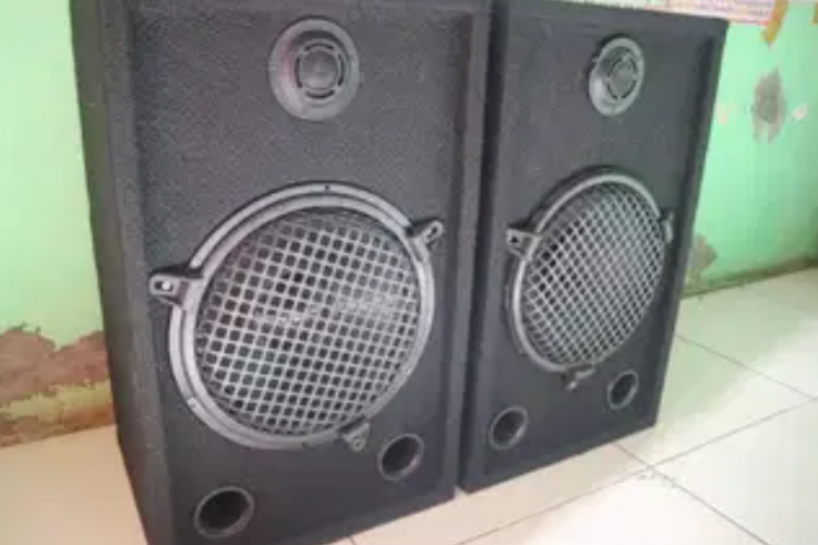 Skema dan Ukuran Box Speaker 10 Inch Double, Cocok Banget Untuk Outdoor dan Indoor