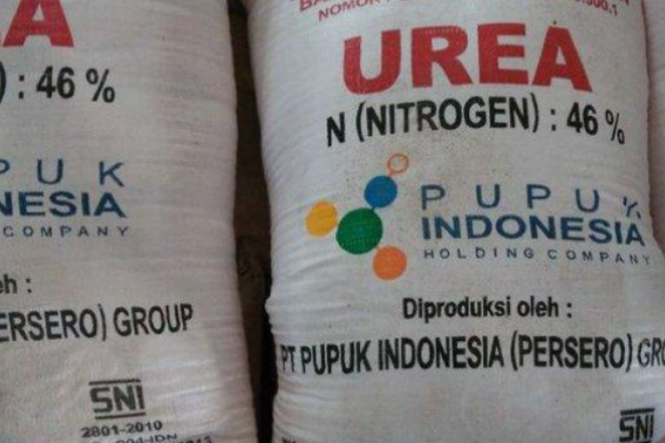 Kapan Bantuan Pupuk Subsidi di Kabupaten Lampung Timur Keluar? Ini Kriteria Petani yang Bakalan Dapat Bansos!