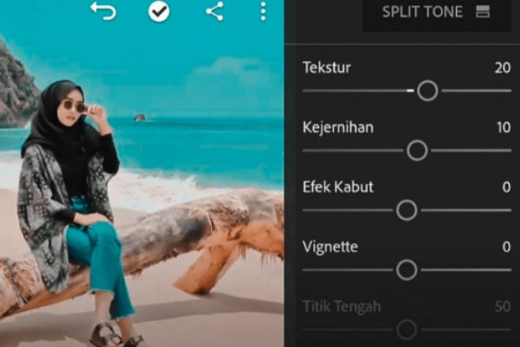 Kumpulan Rumus Lightroom Seperti Selebgram: Untuk Selfie hingga Pemandagan Alam