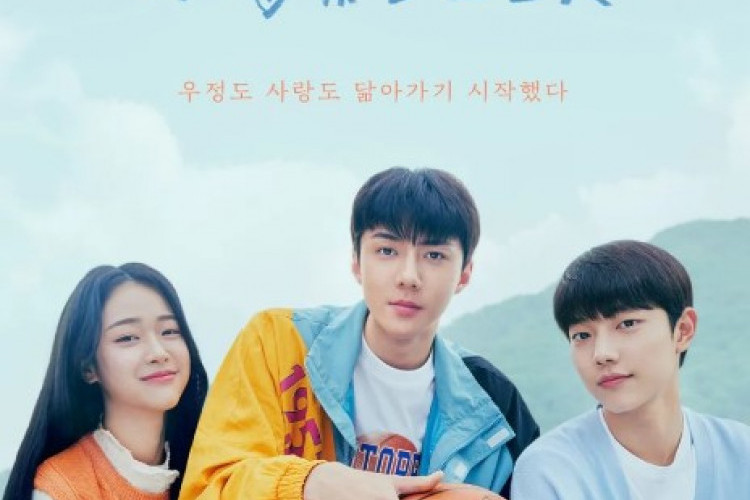 Sinopsis All That We Loved (2023), Sehun EXO Jadi Anak SMA yang Harus Transplantasi Organ!