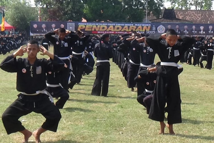 Macam-Macam Tingkatan Kedudukan PSHT (Persaudaraan Setia Hati Terate) yang Berbeda Mulai Dari Siswa Hingga Warga