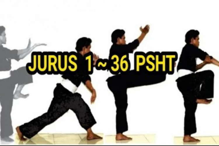 Jurus PSHT 1-36 PDF Lengkap Dengan Gambar, Latihan Pencak Silat Dengan Mudah!