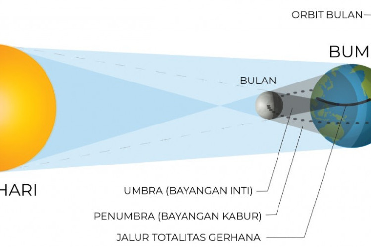 Jelaskan Perbedaan Antara Umbra dan Penumbra? Fenomena Gerhana yang Perlu Diketahui Detailnya!