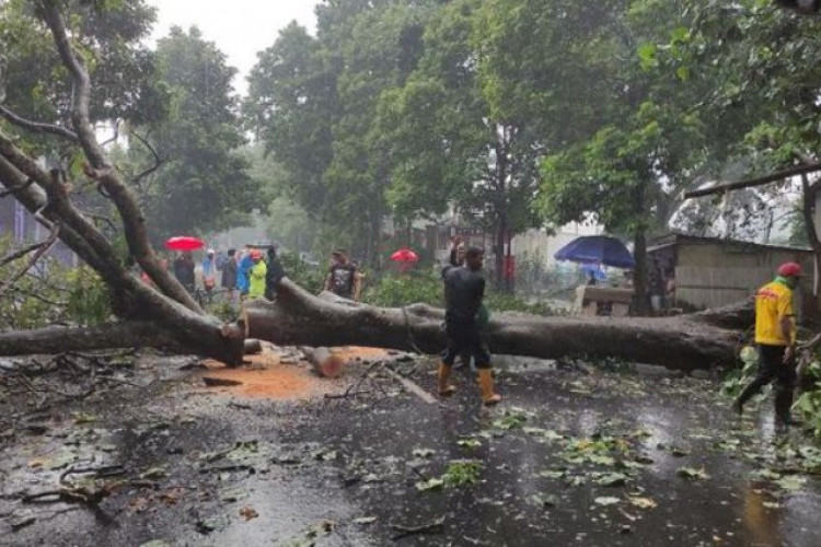 Hati-hati!  Angin Kencang Terjang Kecamatan Wagir Malang, Sebabkan Kerusakan Rumah Warga Cukup Parah
