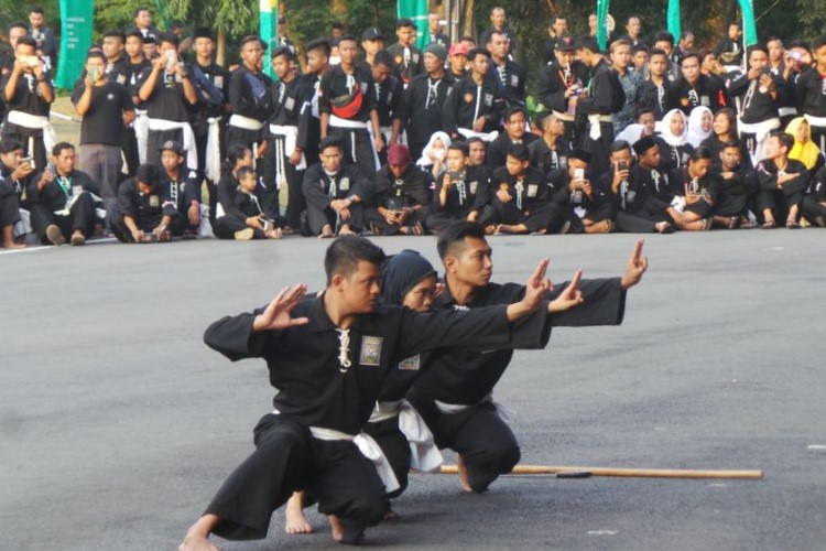 4 Tingkatan Kenaikan Sabuk Siswa PSHT Mulai Dari Polos Sampai Putih Lengkap Dengan Jangka Waktunya 