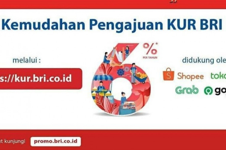 Pengajuan KUR BRI 2023 Tanpa Jaminan Khusus Usaha Mikro, Berikut Persyaratannya