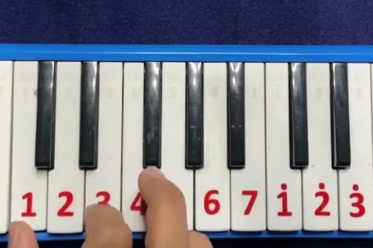 Not Pianika Basuri v3 v4 v5 Telolet Viral Tiktok, Tempo Pelan Mudah Untuk Para Pemula!