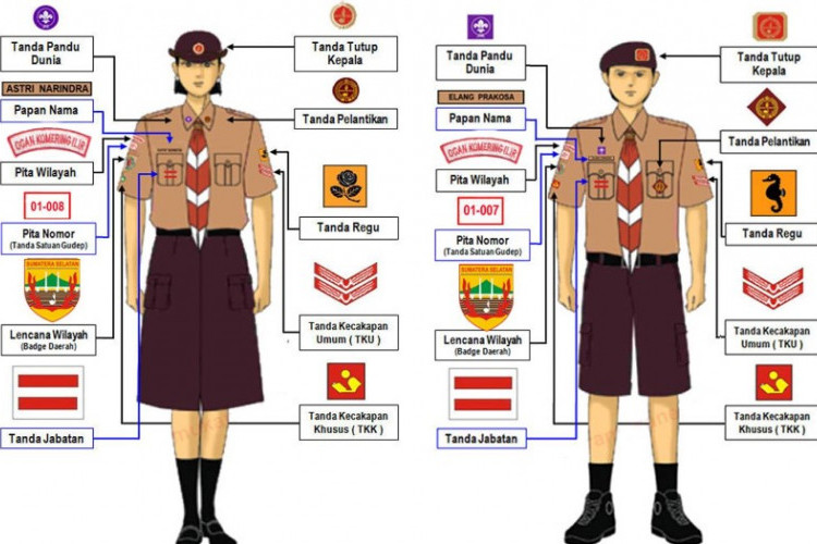 Letak Bet Pramuka Berdasarkan Tingkatannya, Mulai Siaga hingga Pendega