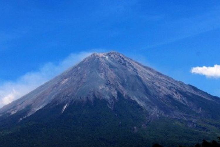 Ini 6 Desa yang Terkena Dampak Letusan Semeru, Membuat 1.979 Jiwa Merapat ke Lokasi Pengungsian