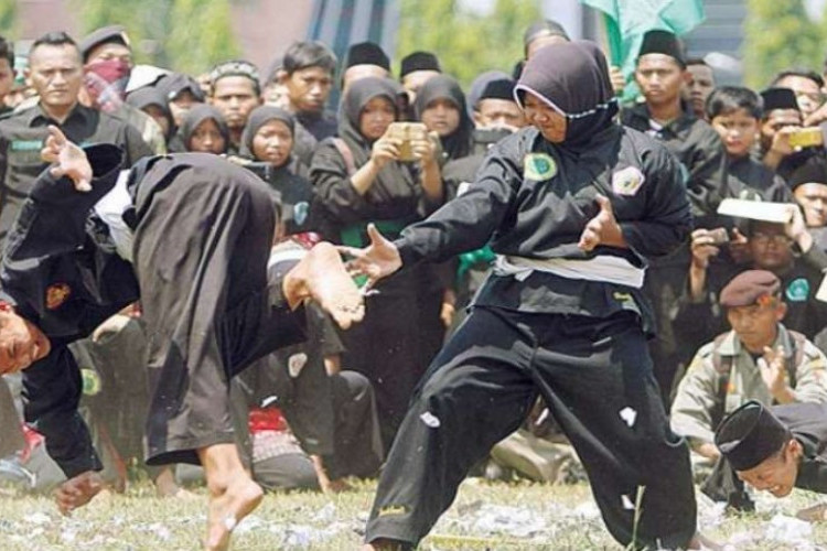 Mengenal Perguruan Silat Pagar Nusa, Lengkap Sejarah Panjang Dibaliknya!