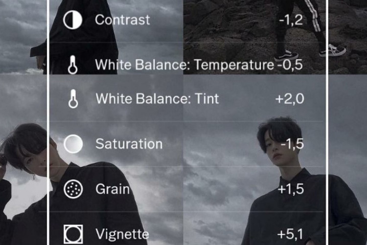 Keren! Rumus VSCO Dark Aesthetic Terbaru 2023, Edit Foto Ala Seleb Instagram