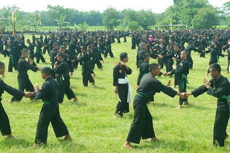 20 Daftar Lokasi Latihan PSHT Terdekat dari Lokasi Saya Di Indonesia, Apakah Ada di Daerahmu ?