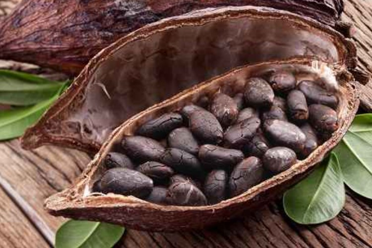 Harga Kakao Hari Ini Per Kg 2024 di Pasaran Indonesia dan Dunia Lagi Manis Banget Ini