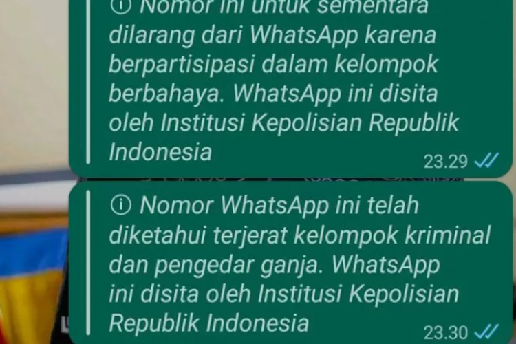 Cara Bikin Prank Nomor Ini untuk Sementara Dilarang dari WhatsApp, Begini Tutorialnya!