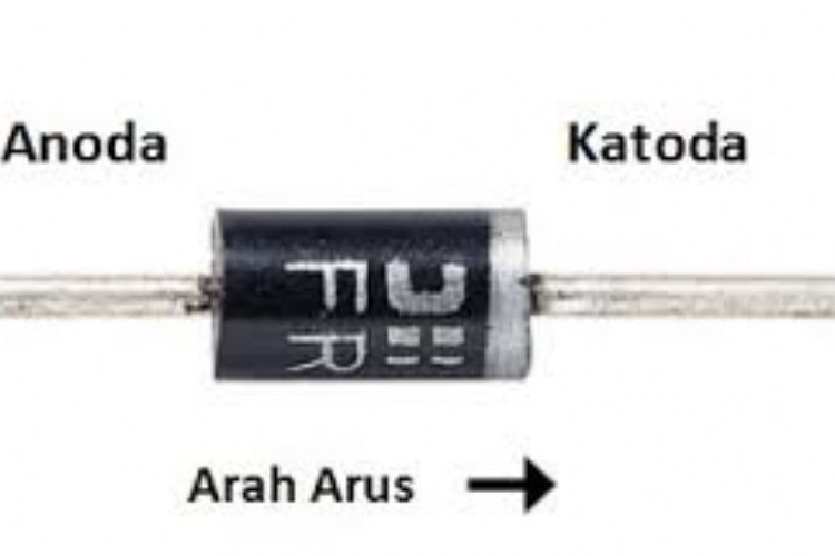 Skema Ukuran Dioda Trafo 5 Ampere Pada Transformator CT