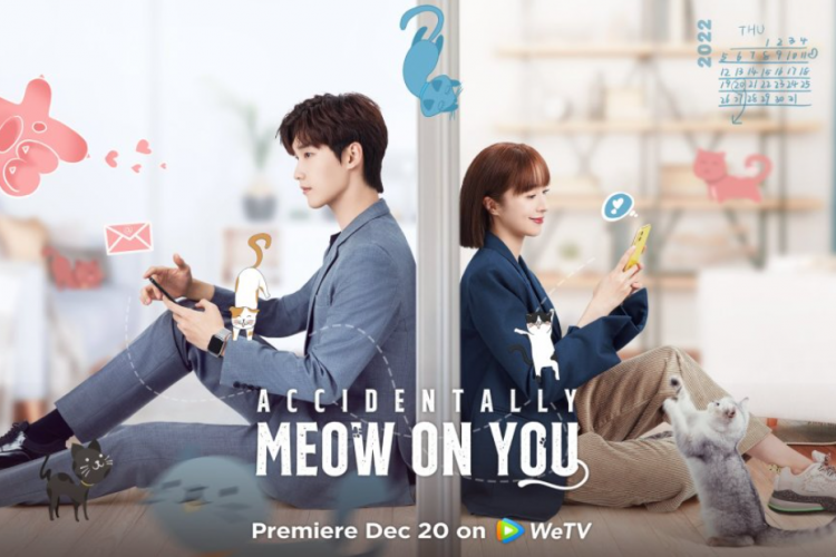 Link Nonton Drama China Accidentally Meow on You (2022) Full Episode Sub Indo, Jatuh Cinta dengan Bos Tsundere dan Penyayang Kucing