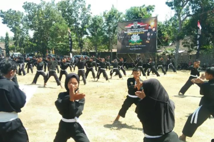 Inilah Tingkatan Sabuk Tertinggi PSHT, Susah Banget Didapatkan Butuh Latihan Bertahun-Tahun 