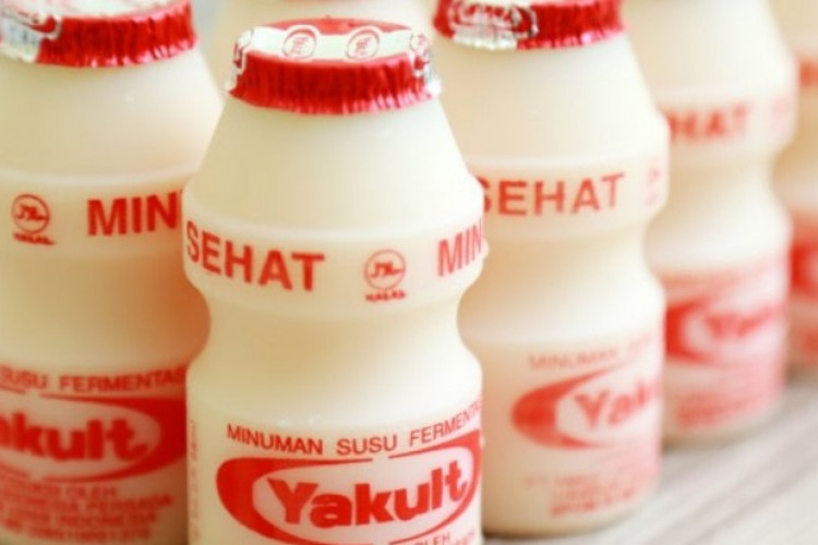 Hati-hati! Ini Dia Efek Samping Yakult Jika Dikonsumsi Secara Berlebihan, Bisa Jadi Gangguan Pencernaan