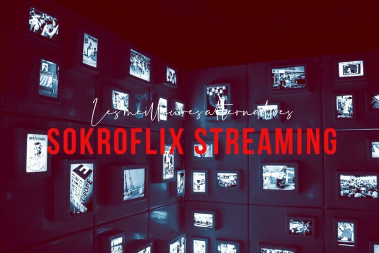 Dernier Lien Alternatif Sokroflix 2024 Toujours Actif, Regardez des Films Illimités sans Publicité !