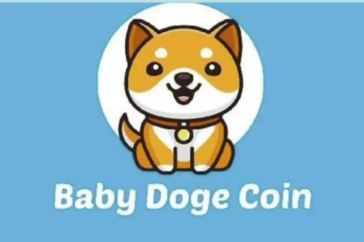 Prediksi Harga Baby Doge Coin (BABYDOGE) Tahun 2025 Paling Akurat, Segera Melonjak Naik?