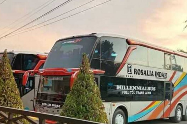 Nomor Telepon Agen Bus Cikarang Bekasi Lengkap Dengan PO dan Tujuannya