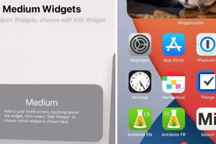 Disparition Mystérieuse du Widget News iPhone dans iOS 15 Bug ou Délibéré ? Vérifiez les Causes et Les Solutions !