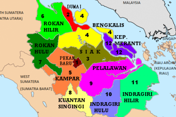 DPRD Riau Beri Dukungan Pemekaran 2 Daerah Jadi Kabupaten/Kota, Eddy A Mohd Yatim: Sedang Dilakukan Uji Konsep