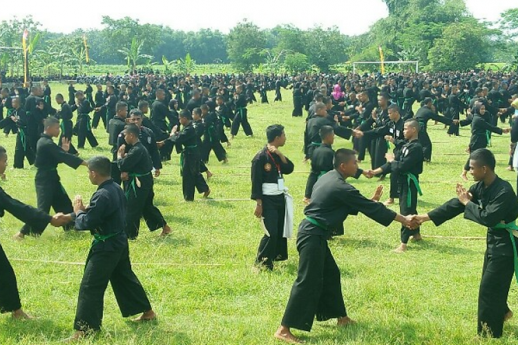 10+ Kata Kata Mutiara Bijak Pesilat PSHT, Bisa di Jadikan Sebagai Pembelajaran Hidup!