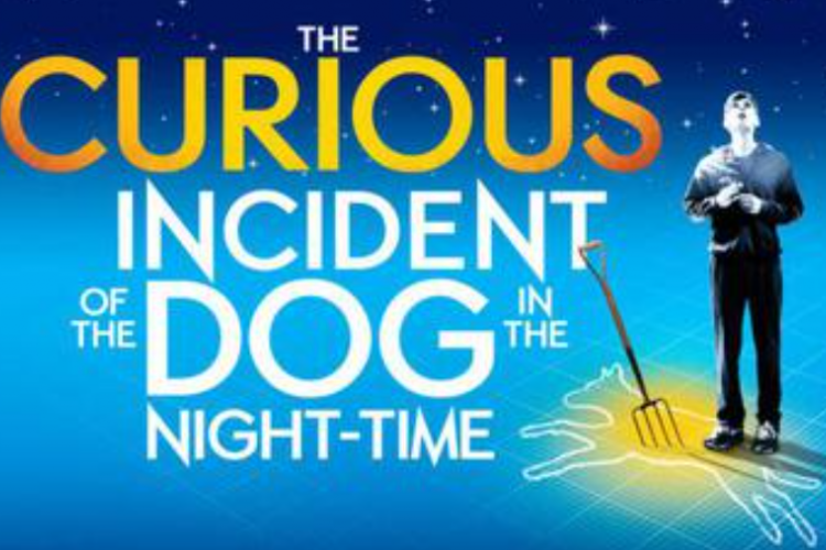 Synopsis The Curious Incident of the Dog in the Night-Time, Roman Policier Populaire de Mark Haddon