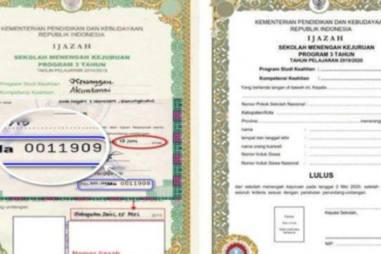 Apa Saja Perbedan Ijazah Legalisir dan Yang Belum? Cek Juga Contohnya di Bawah Ini!