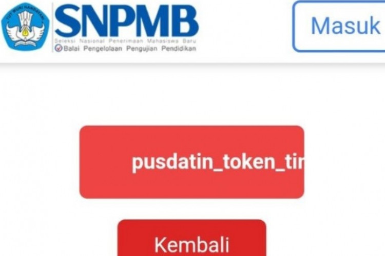 Ini Dia Penyebab Pusdatin Token Timeout dan Cara Ampuh Untuk Mengatasinya, 1000% Work!