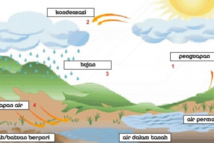 Pentingnya Siklus Air dalam Lingkungan, Untuk Irigasi Pertanian hingga Regulasi Iklim