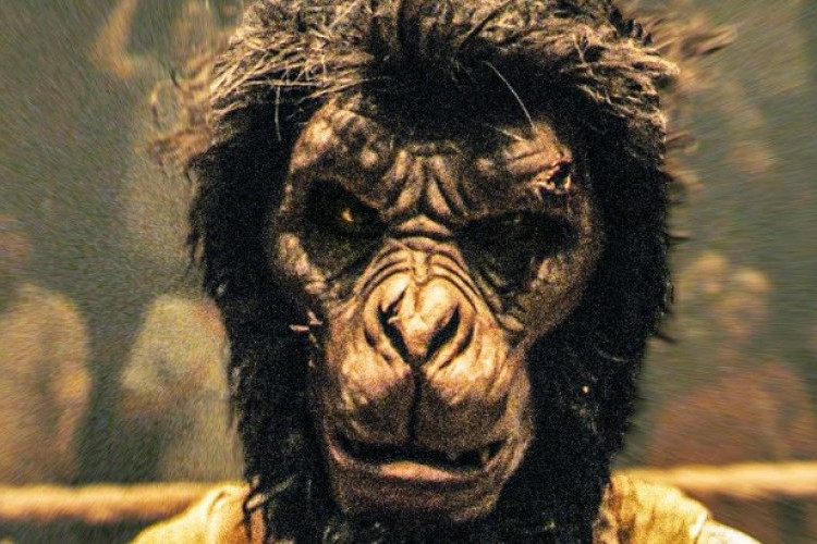 Synopsis Films Monkey Man (2024), Plateau de Tournage Hollywoodien en Indonésie