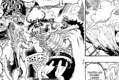 RAW Manga One Piece Chapitre 1135 Scan VF FR, Au-delà des limites raisonnables !