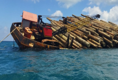 Ketentuan Penggunaan Kapal Tongkang Sesuai Panjang dan Tingginya, Agar Perjalanan Aman Sentosa