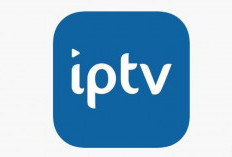 Code IPTV Smarters Pro Gratuit Username Et Password 2024 Regarder De Nombreux Programmes Passionnants