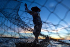 Download Kalender Mancing Januari 2024 di Laut, Cari Tau Hari Baiknya Agar Panen Ikan Melimpah