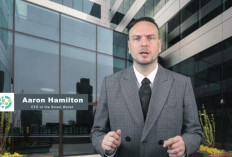 Bongkar Kedok Aaron Hamilton dalam Smart Wallet yang Berpotensi Penipuan, Cek Fakta Lengkapnya Disini!